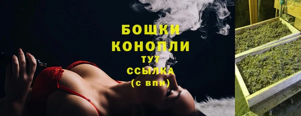 винт Инсар