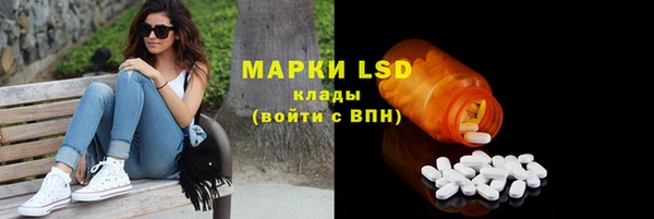 винт Инсар
