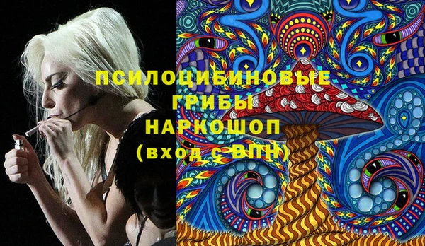 винт Инсар
